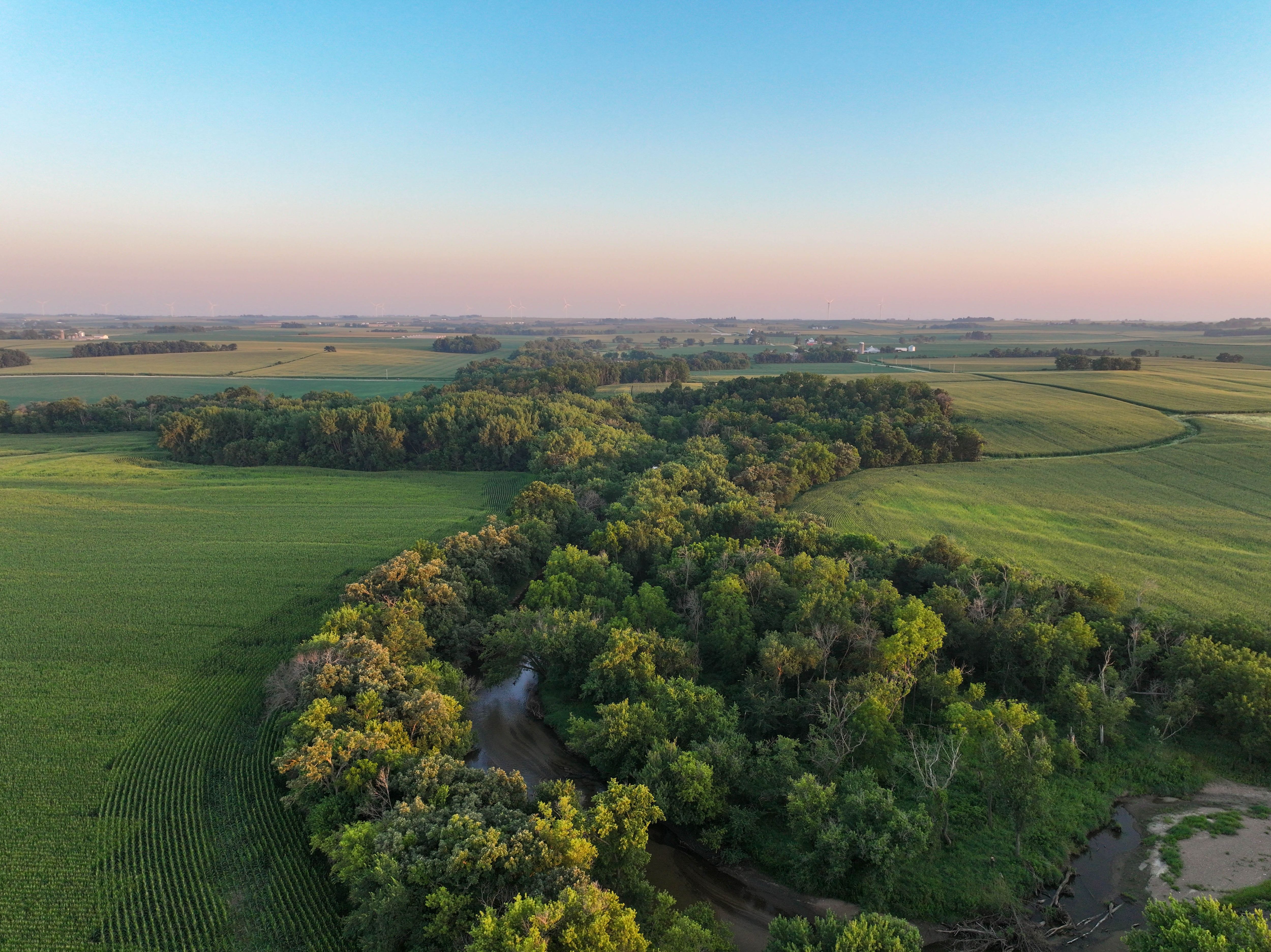 Listing Photo: 21_Iowa Farmland For Sale